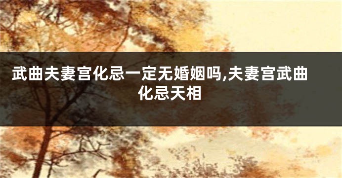 武曲夫妻宫化忌一定无婚姻吗,夫妻宫武曲化忌天相