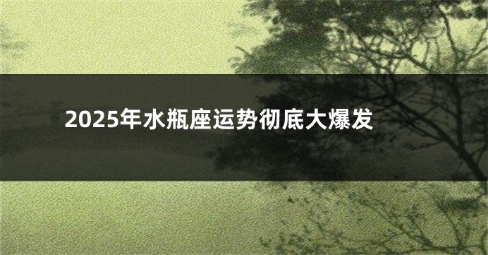 2025年水瓶座运势彻底大爆发