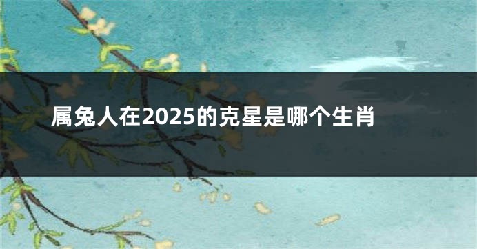 属兔人在2025的克星是哪个生肖
