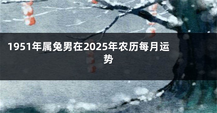 1951年属兔男在2025年农历每月运势