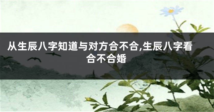 从生辰八字知道与对方合不合,生辰八字看合不合婚