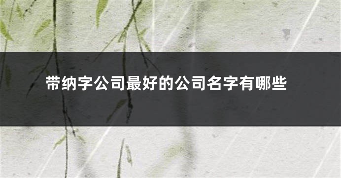 带纳字公司最好的公司名字有哪些