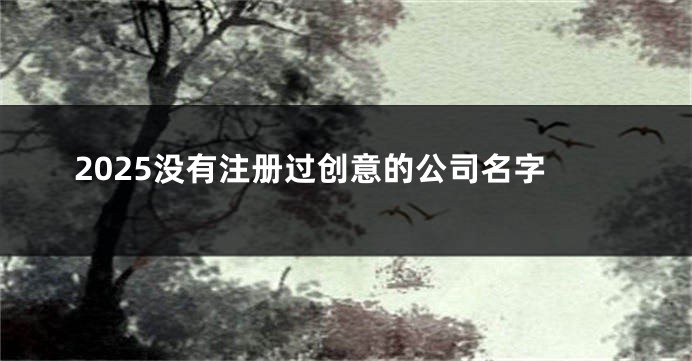2025没有注册过创意的公司名字