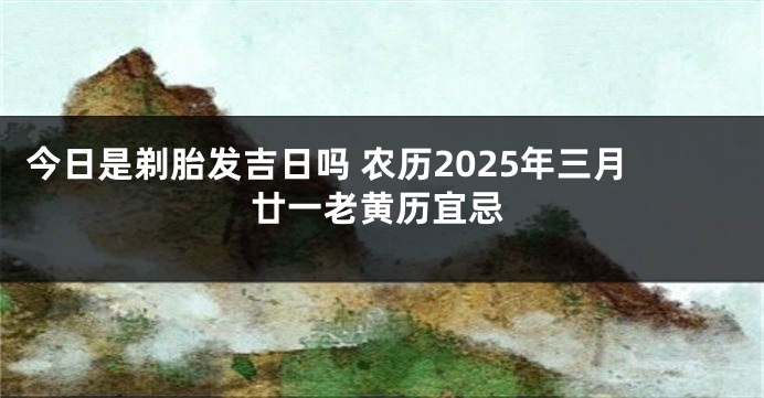 今日是剃胎发吉日吗 农历2025年三月廿一老黄历宜忌