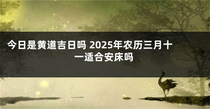 今日是黄道吉日吗 2025年农历三月十一适合安床吗