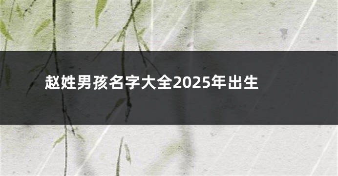 赵姓男孩名字大全2025年出生