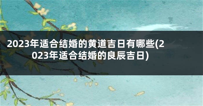 2023年适合结婚的黄道吉日有哪些(2023年适合结婚的良辰吉日)