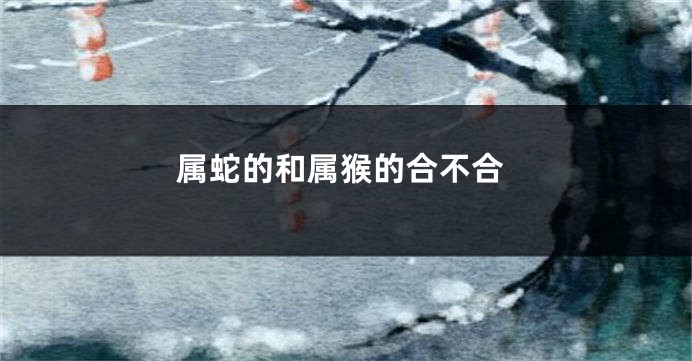 属蛇的和属猴的合不合