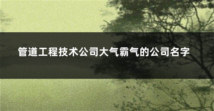 管道工程技术公司大气霸气的公司名字