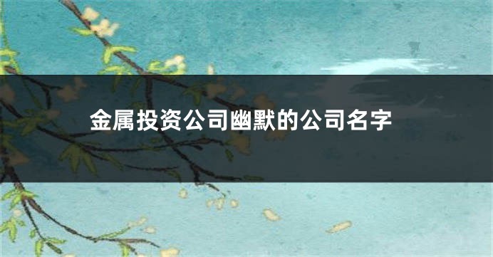 金属投资公司幽默的公司名字