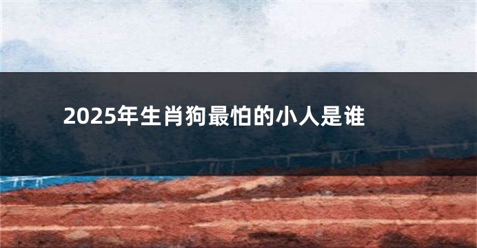 2025年生肖狗最怕的小人是谁