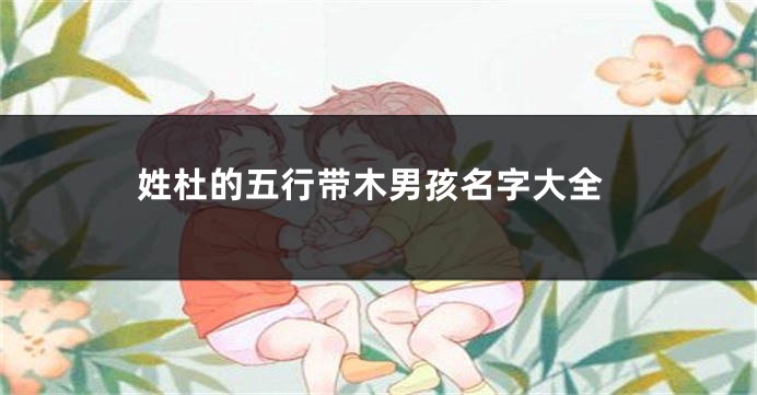 姓杜的五行带木男孩名字大全