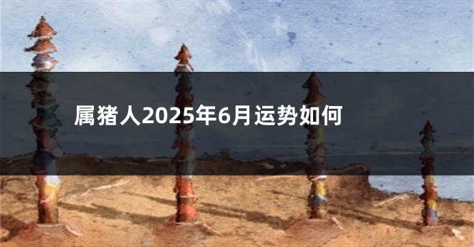 属猪人2025年6月运势如何