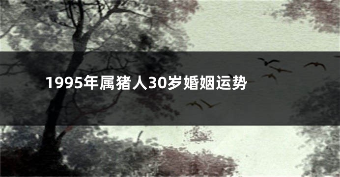 1995年属猪人30岁婚姻运势