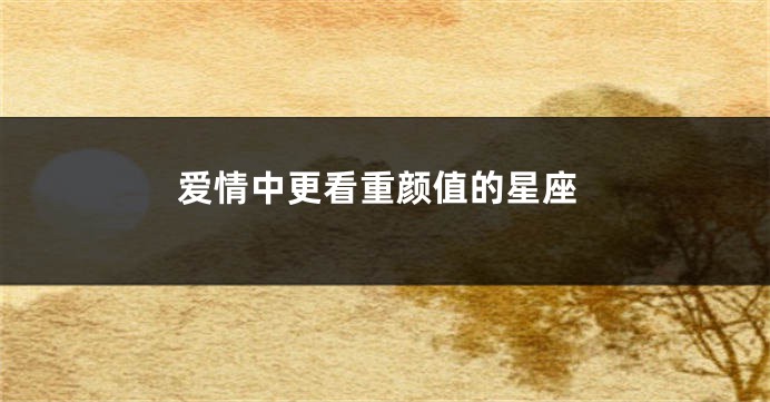 爱情中更看重颜值的星座