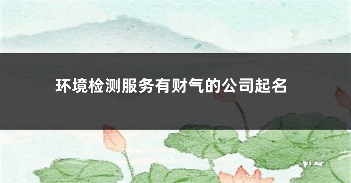 环境检测服务有财气的公司起名