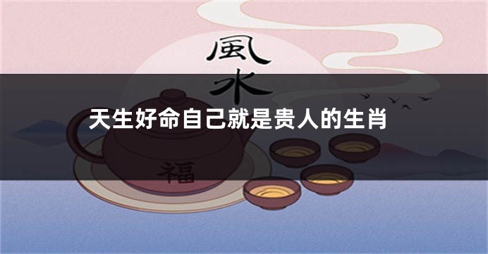 天生好命自己就是贵人的生肖