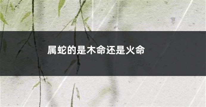 属蛇的是木命还是火命 