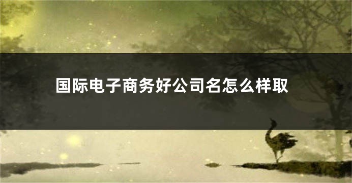 国际电子商务好公司名怎么样取