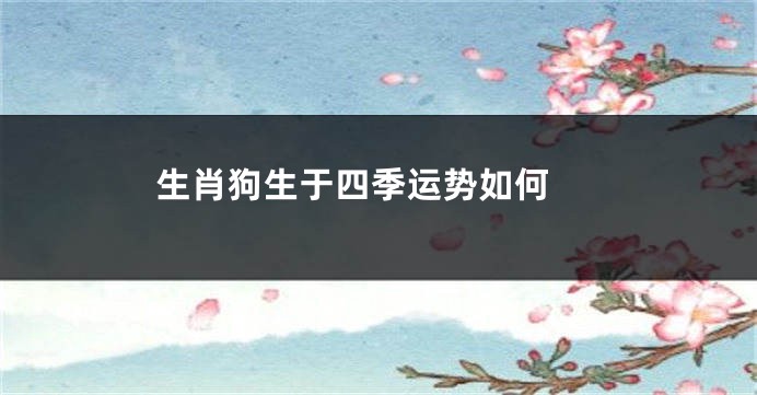 生肖狗生于四季运势如何 