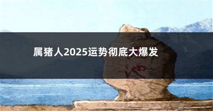 属猪人2025运势彻底大爆发