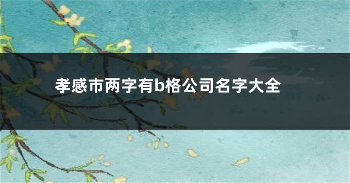 孝感市两字有b格公司名字大全
