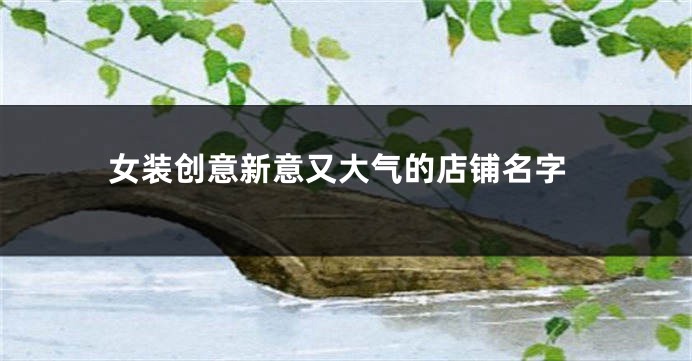 女装创意新意又大气的店铺名字