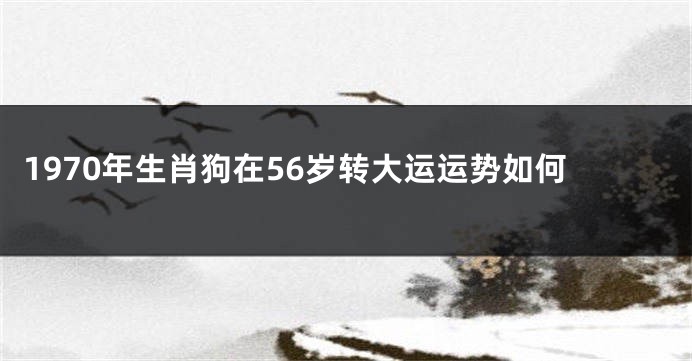 1970年生肖狗在56岁转大运运势如何