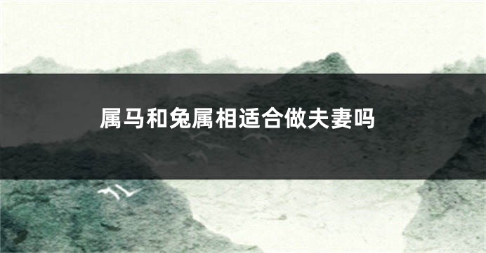属马和兔属相适合做夫妻吗