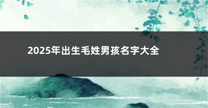 2025年出生毛姓男孩名字大全