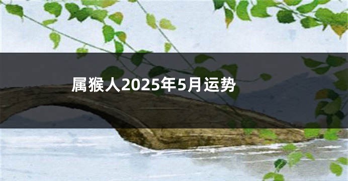 属猴人2025年5月运势
