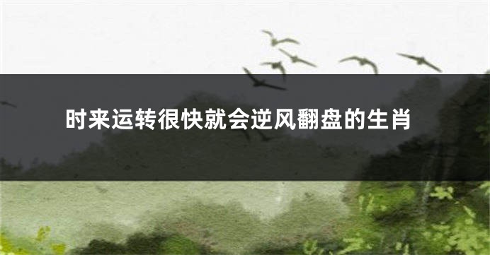 时来运转很快就会逆风翻盘的生肖
