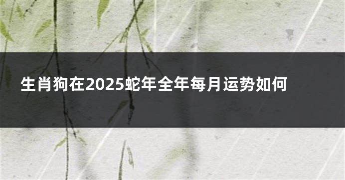 生肖狗在2025蛇年全年每月运势如何