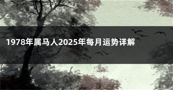 1978年属马人2025年每月运势详解