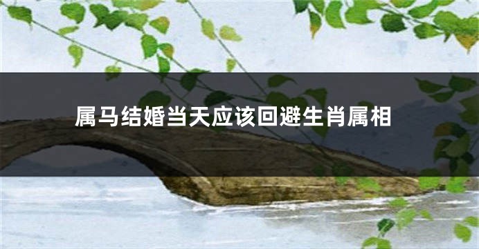 属马结婚当天应该回避生肖属相