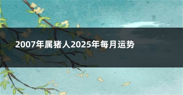 2007年属猪人2025年每月运势