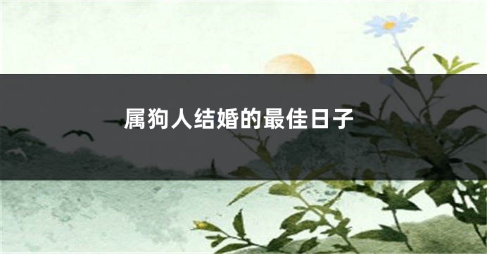 属狗人结婚的最佳日子
