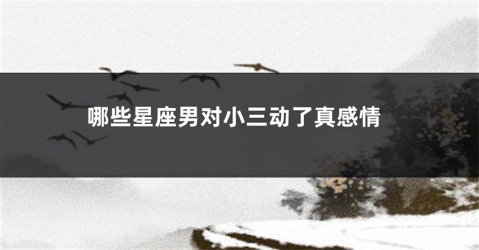 哪些星座男对小三动了真感情