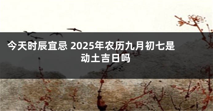今天时辰宜忌 2025年农历九月初七是动土吉日吗