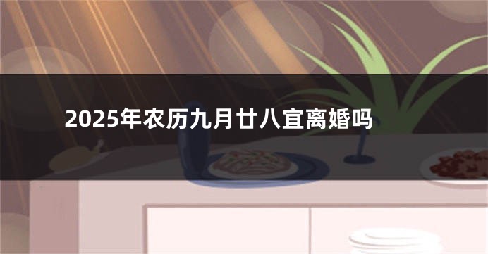 2025年农历九月廿八宜离婚吗