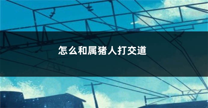 怎么和属猪人打交道
