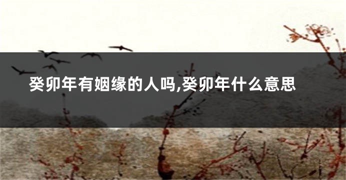 癸卯年有姻缘的人吗,癸卯年什么意思
