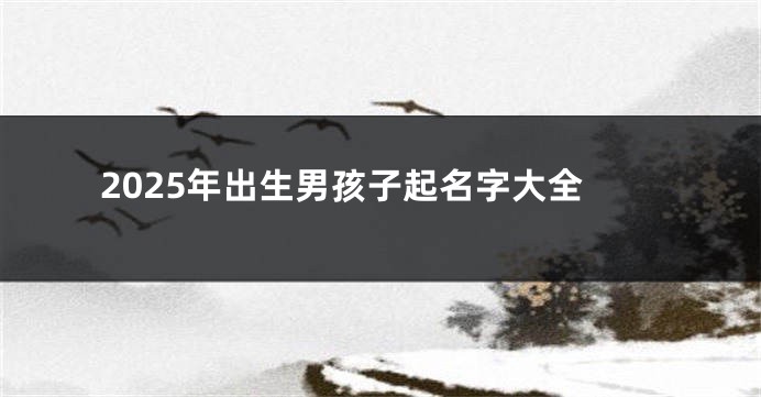 2025年出生男孩子起名字大全