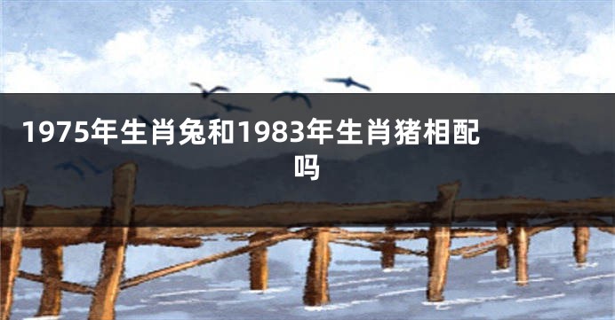 1975年生肖兔和1983年生肖猪相配吗