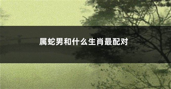 属蛇男和什么生肖最配对