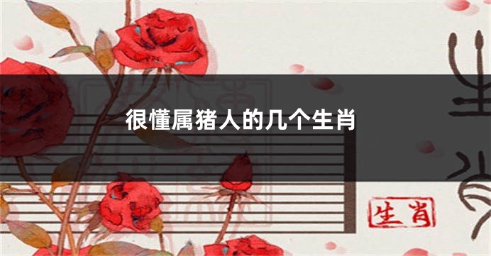 很懂属猪人的几个生肖