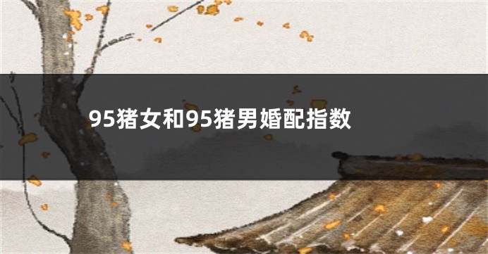 95猪女和95猪男婚配指数