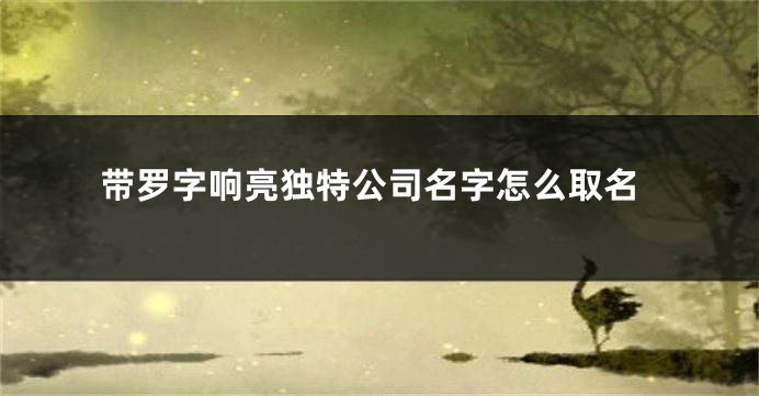 带罗字响亮独特公司名字怎么取名