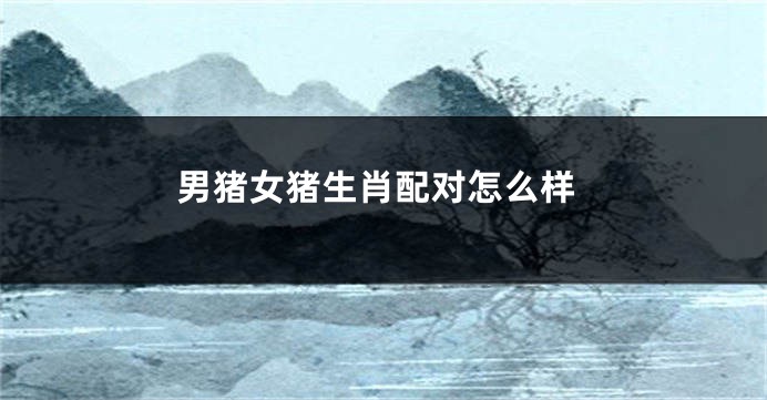男猪女猪生肖配对怎么样