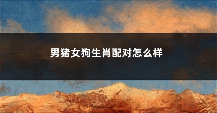 男猪女狗生肖配对怎么样